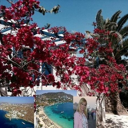 Magical Ornos! Beach House!Beach 1' Walk-Mykonos Town 2Km Dış mekan fotoğraf