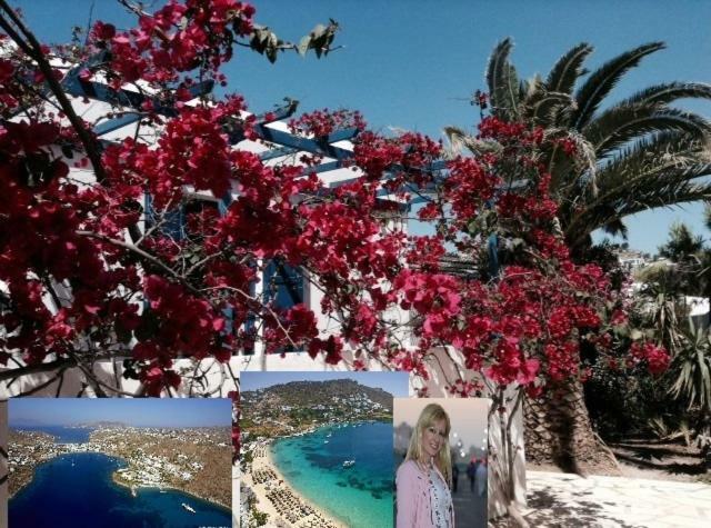Magical Ornos! Beach House!Beach 1' Walk-Mykonos Town 2Km Dış mekan fotoğraf